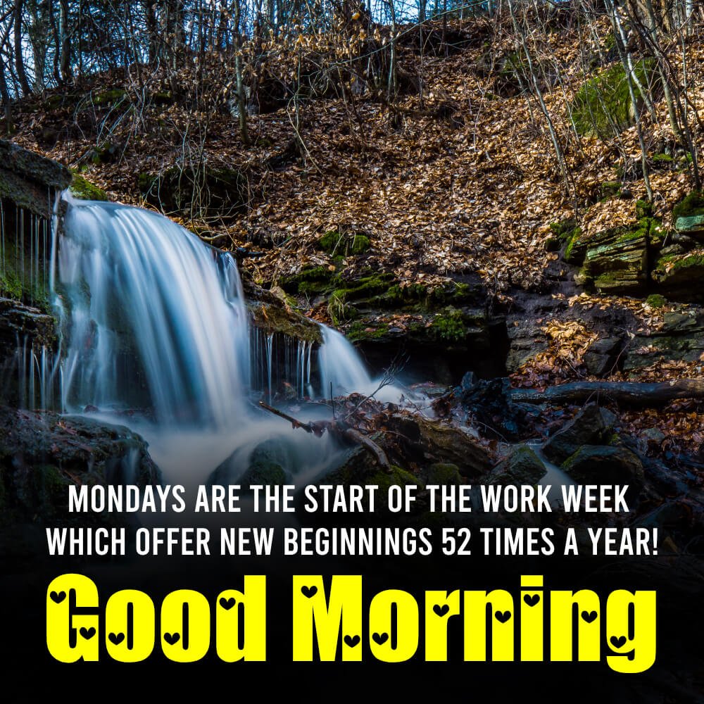 Good Morning Monday Wishes