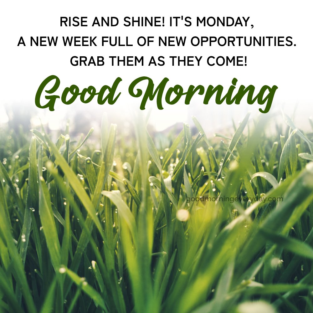 Good Morning Monday Quotes